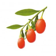 Goji